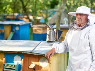 Persistência Local com Hive em Flutter para Desenvolvedores